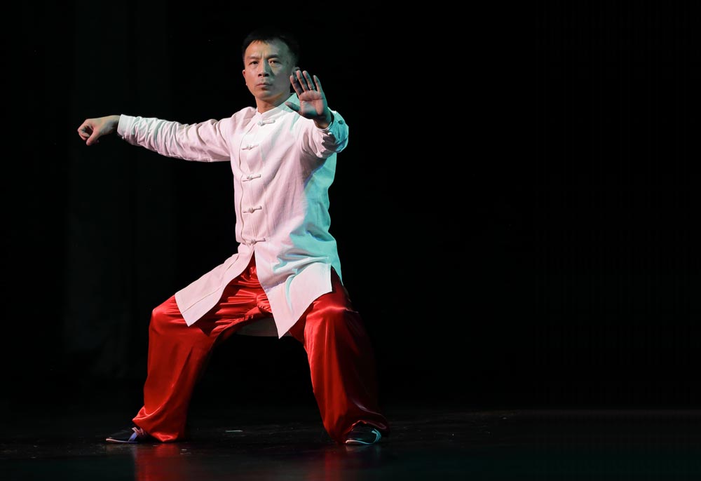 Master Chen doing Tai Chi